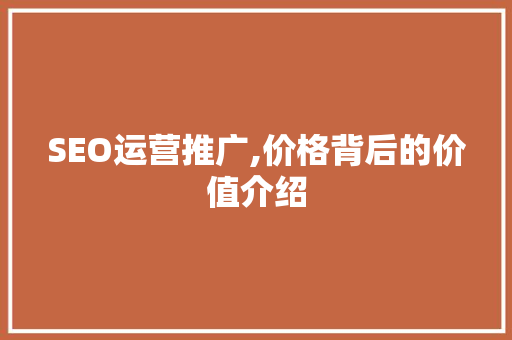 SEO运营推广,价格背后的价值介绍