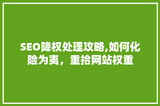 SEO降权处理攻略,如何化险为夷，重拾网站权重