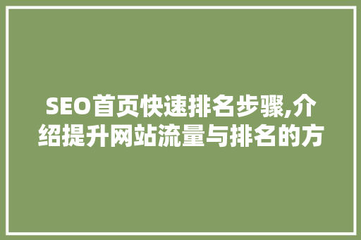 SEO首页快速排名步骤,介绍提升网站流量与排名的方法