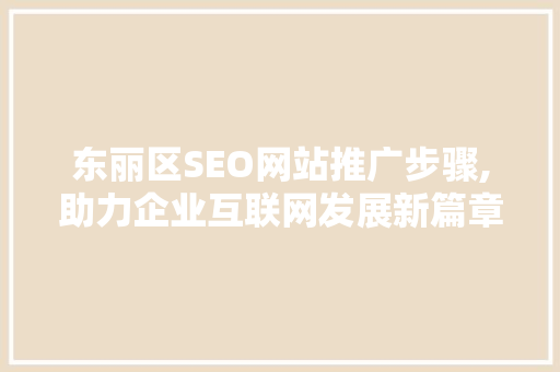 东丽区SEO网站推广步骤,助力企业互联网发展新篇章