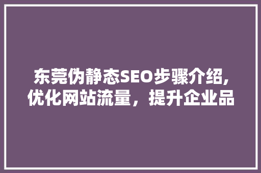 东莞伪静态SEO步骤介绍,优化网站流量，提升企业品牌影响力