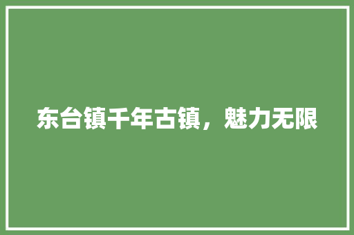 东台镇千年古镇，魅力无限