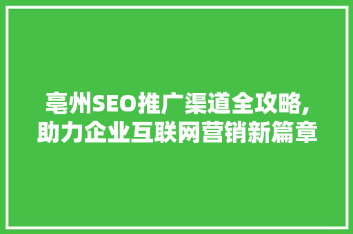亳州SEO推广渠道全攻略,助力企业互联网营销新篇章  第1张