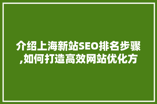 介绍上海新站SEO排名步骤,如何打造高效网站优化方法