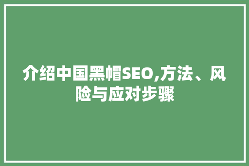 介绍中国黑帽SEO,方法、风险与应对步骤