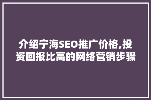 介绍宁海SEO推广价格,投资回报比高的网络营销步骤