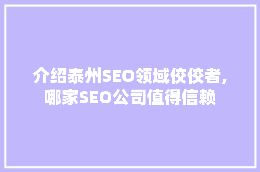 介绍泰州SEO领域佼佼者,哪家SEO公司值得信赖