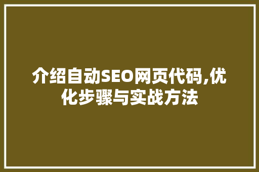 介绍自动SEO网页代码,优化步骤与实战方法