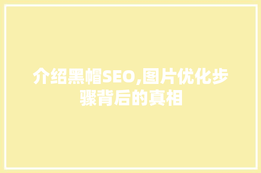 介绍黑帽SEO,图片优化步骤背后的真相