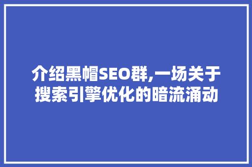 介绍黑帽SEO群,一场关于搜索引擎优化的暗流涌动