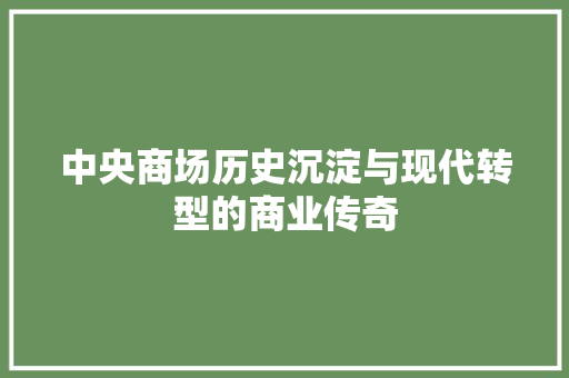 中央商场历史沉淀与现代转型的商业传奇