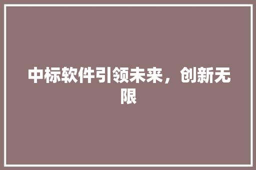 中标软件引领未来，创新无限  第1张