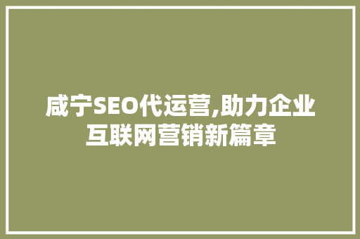 咸宁SEO代运营,助力企业互联网营销新篇章