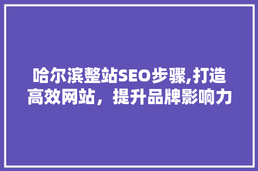 哈尔滨整站SEO步骤,打造高效网站，提升品牌影响力