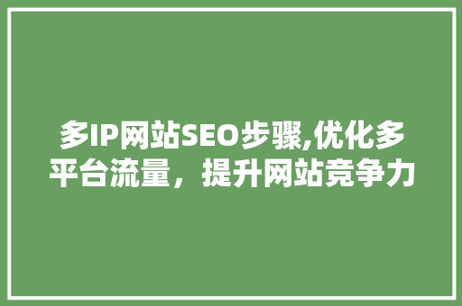 多IP网站SEO步骤,优化多平台流量，提升网站竞争力