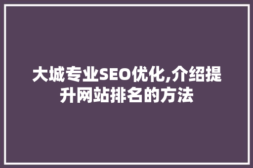 大城专业SEO优化,介绍提升网站排名的方法