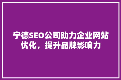 宁德SEO公司助力企业网站优化，提升品牌影响力  第1张