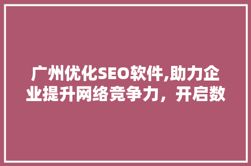 广州优化SEO软件,助力企业提升网络竞争力，开启数字营销新篇章