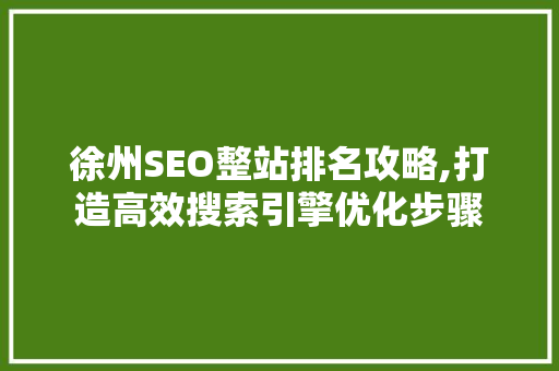 徐州SEO整站排名攻略,打造高效搜索引擎优化步骤