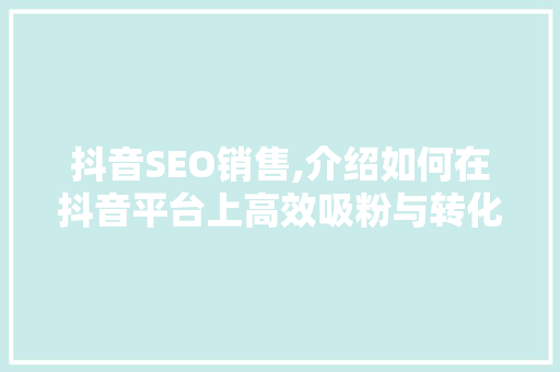抖音SEO销售,介绍如何在抖音平台上高效吸粉与转化