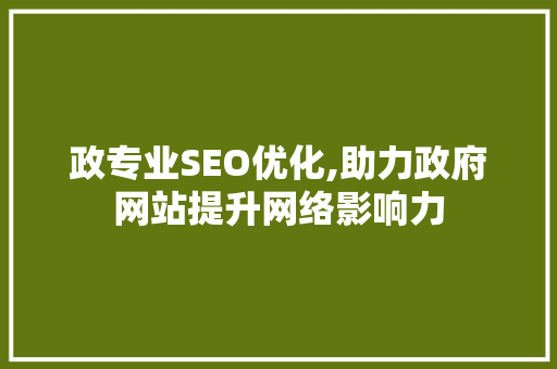 政专业SEO优化,助力政府网站提升网络影响力