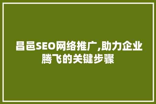 昌邑SEO网络推广,助力企业腾飞的关键步骤