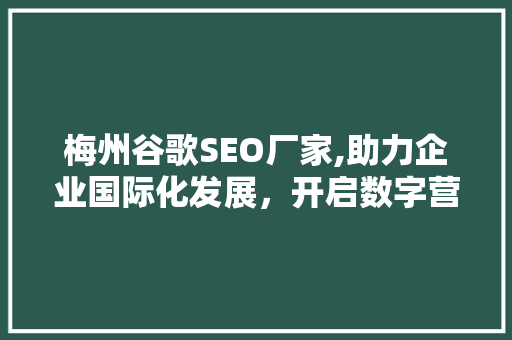 梅州谷歌SEO厂家,助力企业国际化发展，开启数字营销新篇章