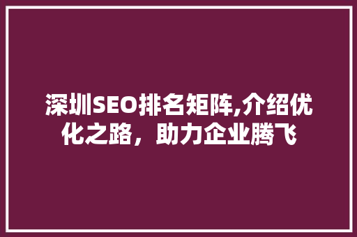 深圳SEO排名矩阵,介绍优化之路，助力企业腾飞