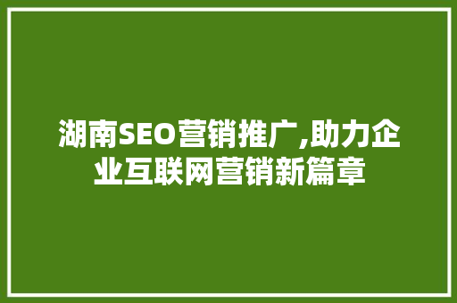 湖南SEO营销推广,助力企业互联网营销新篇章