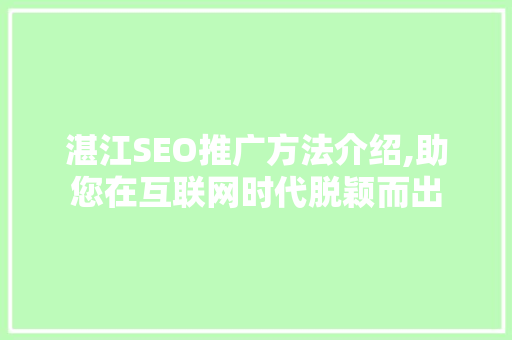 湛江SEO推广方法介绍,助您在互联网时代脱颖而出