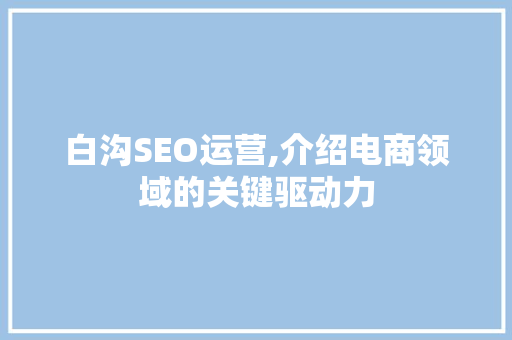白沟SEO运营,介绍电商领域的关键驱动力