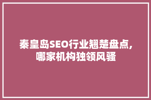 秦皇岛SEO行业翘楚盘点,哪家机构独领风骚