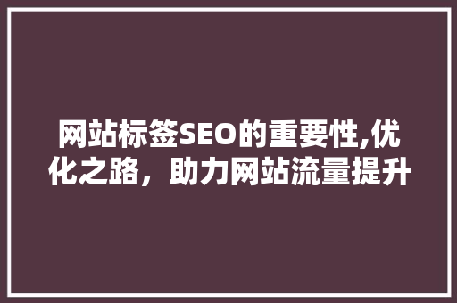 网站标签SEO的重要性,优化之路，助力网站流量提升