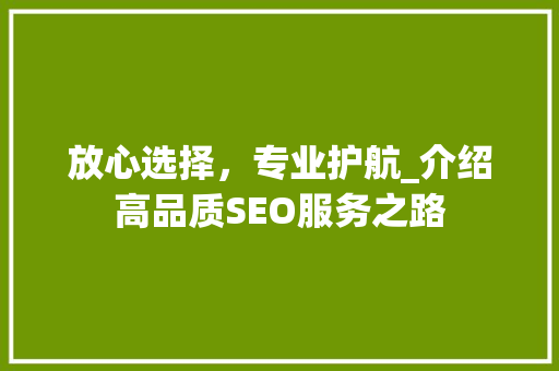 放心选择，专业护航_介绍高品质SEO服务之路