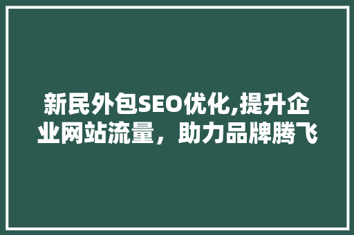 新民外包SEO优化,提升企业网站流量，助力品牌腾飞