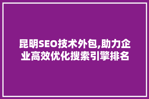 昆明SEO技术外包,助力企业高效优化搜索引擎排名