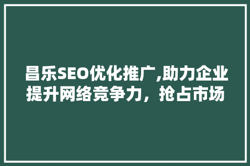 昌乐SEO优化推广,助力企业提升网络竞争力，抢占市场先机