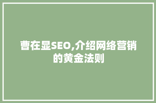 曹在显SEO,介绍网络营销的黄金法则