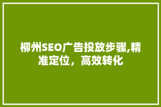 柳州SEO广告投放步骤,精准定位，高效转化