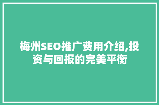 梅州SEO推广费用介绍,投资与回报的完美平衡