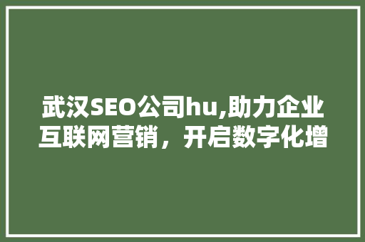 武汉SEO公司hu,助力企业互联网营销，开启数字化增长新篇章
