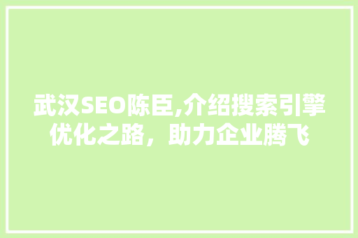 武汉SEO陈臣,介绍搜索引擎优化之路，助力企业腾飞