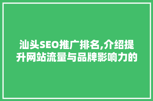 汕头SEO推广排名,介绍提升网站流量与品牌影响力的方法