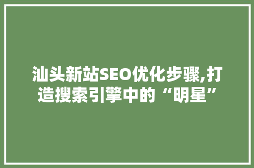 汕头新站SEO优化步骤,打造搜索引擎中的“明星”