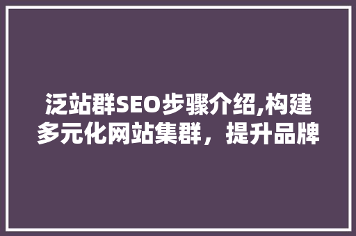 泛站群SEO步骤介绍,构建多元化网站集群，提升品牌影响力