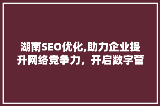 湖南SEO优化,助力企业提升网络竞争力，开启数字营销新篇章