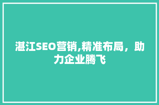 湛江SEO营销,精准布局，助力企业腾飞