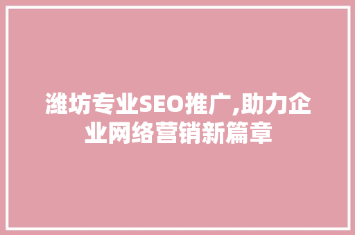 潍坊专业SEO推广,助力企业网络营销新篇章