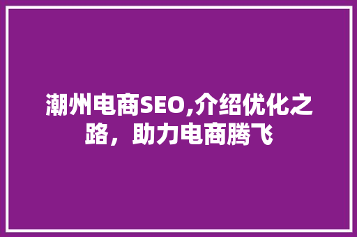 潮州电商SEO,介绍优化之路，助力电商腾飞