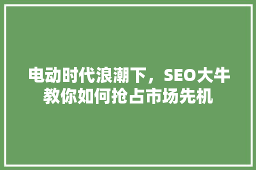 电动时代浪潮下，SEO大牛教你如何抢占市场先机